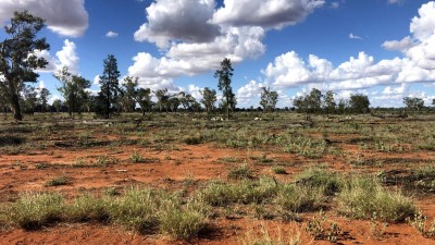 Yamma QLD