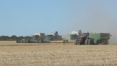 Sardi Farms WA