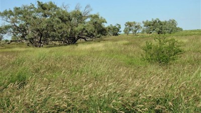Maranie QLD