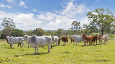 Marodian West QLD