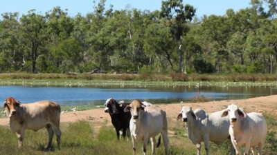 Redrock Station QLD