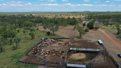 Rocky Springs QLD