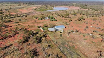 Wombula Aggregation QLD