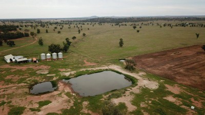 Stella Downs NSW
