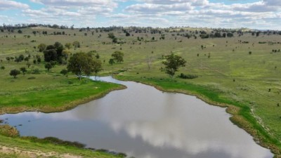 Nick’s Paddock QLD
