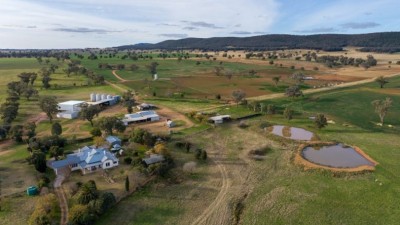 Catombal Aggregation NSW
