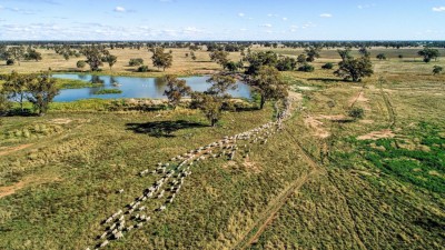 Cresline NSW