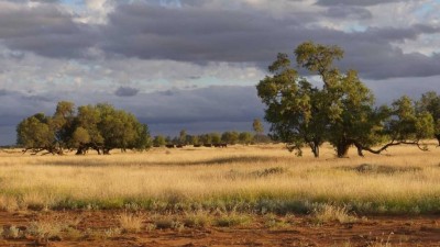 Marango QLD