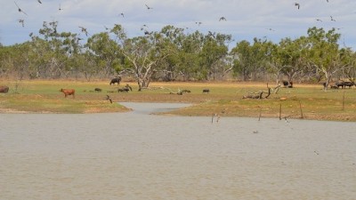 Nardoo Station NSW