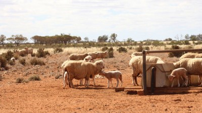 Wendi Station NSW