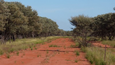 Youngerina NSW