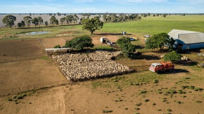 Euglo Station NSW
