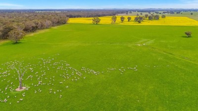 Boorala SA