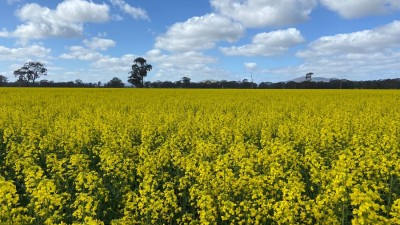 Corinella Farms VIC/SA