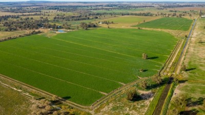 West Plains and Lenborough NSW