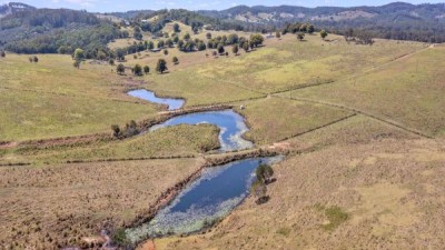 Hinterland Grazing QLD