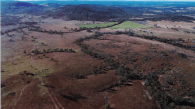 Hinton QLD