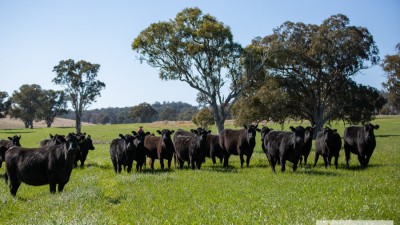 Stockton NSW