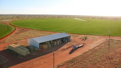 Territory Grape Farm NT