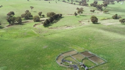 Warrawee NSW
