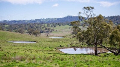 Brucelyn NSW
