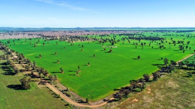 Donadabu NSW