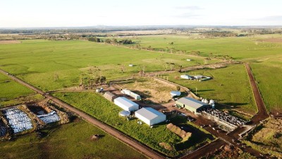 Karrara Farms & Acacia Dairy VIC