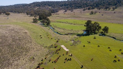 Paradise Creek Station NSW