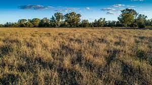 Waldon NSW