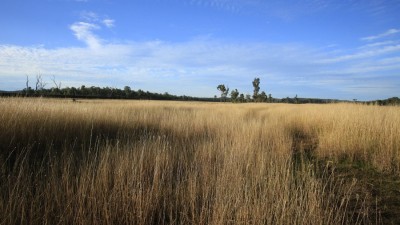 Windera Station QLD