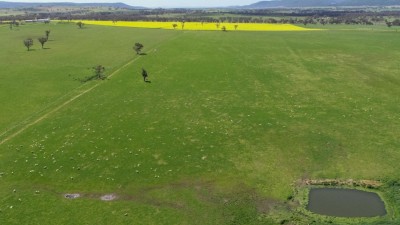 Speckton and The Estate NSW