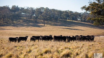 Achill West NSW