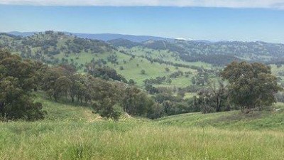 Carnegie NSW