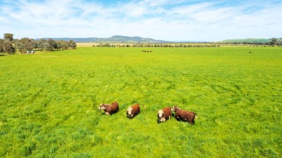 Dalriada NSW