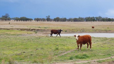 Hurreldean QLD