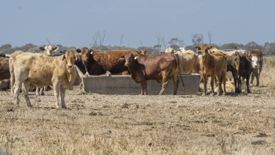 North Combarngo QLD