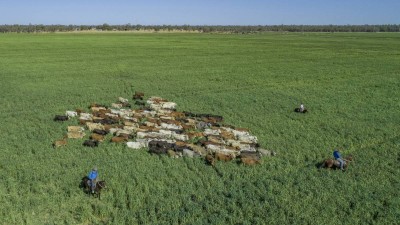 Retreat QLD