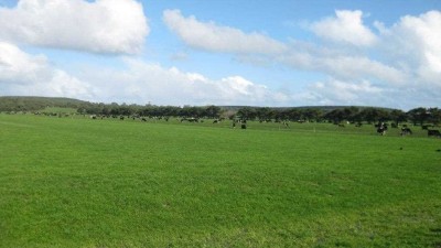 Harcus Dairy aggregation TAS