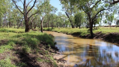 Girraween QLD
