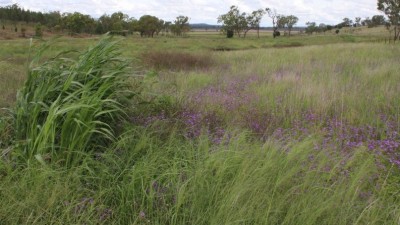 Vermont QLD