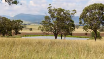 325 Nobles Road QLD