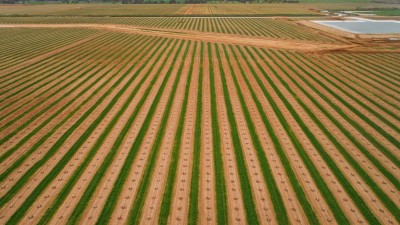 Sandmount Farms VIC