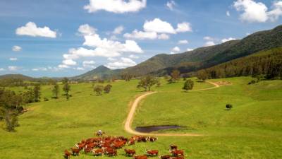 Somerset NSW
