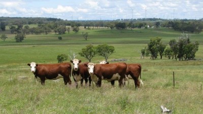 Timber Downs NSW