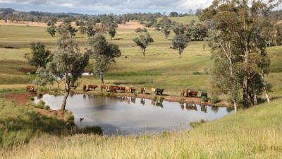 Upton Farms NSW