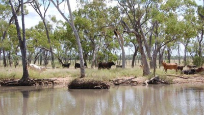 Carmichael QLD