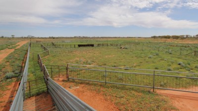 Lake Stewart NSW
