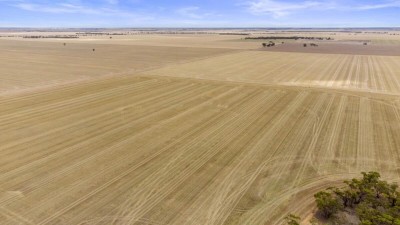 Merriwa Pastoral Company VIC