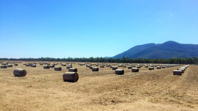 Ausgold Hay QLD