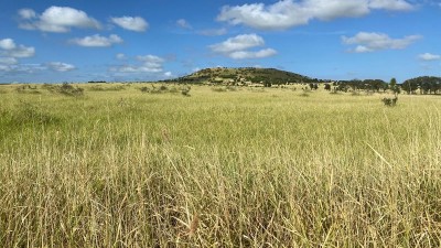 Red Range & Laurel Downs QLD